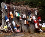 lobster-bouys-on-old-fence_DSC05484